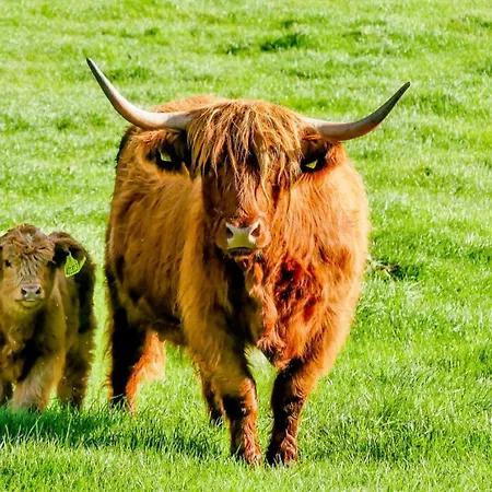 Appleyard - Yorkshire Dales * Hellifield