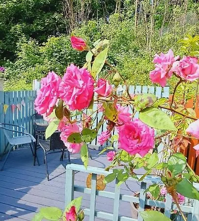 別荘 Appleyard - Yorkshire Dales